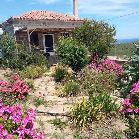 Cozy House With Amazing Sea View Apartment Kaminia  Exterior foto