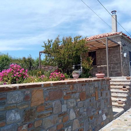 Cozy House With Amazing Sea View Apartment Kaminia  Exterior foto