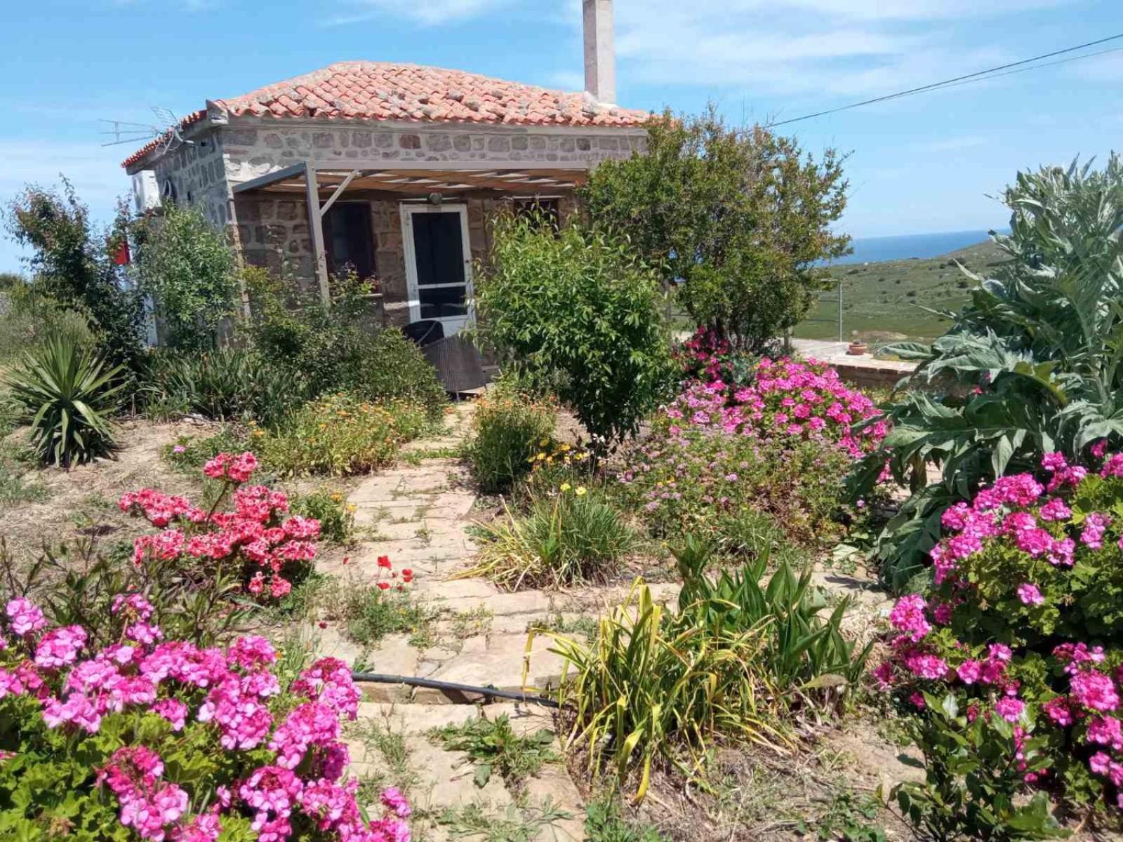 Cozy House With Amazing Sea View Apartment Kaminia  Exterior foto
