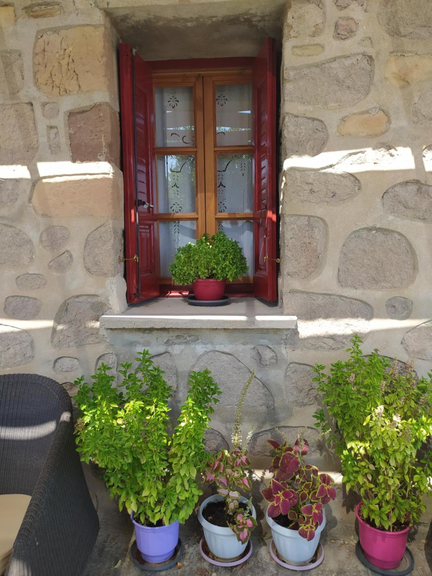 Cozy House With Amazing Sea View Apartment Kaminia  Exterior foto